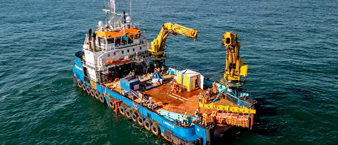 Los científicos liberan 200 larvas de ostras en el mar y el motivo te sorprenderá