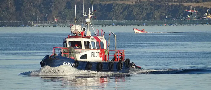 Expertos chilenos colaboran en propuesta de marco global para la adaptación del sector acuícola al cambio climático